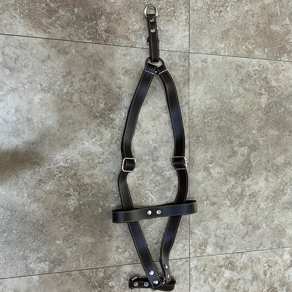Logical Leather Dog Harness